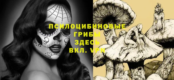 марки nbome Белокуриха